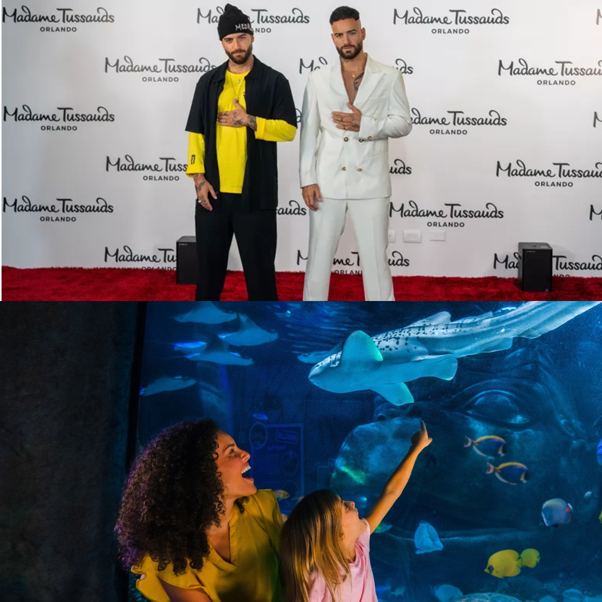 Collage of images. Celebrity with wax figure at Madame Tussauds and family admiring shark at SEA LIFE Aquarium.
